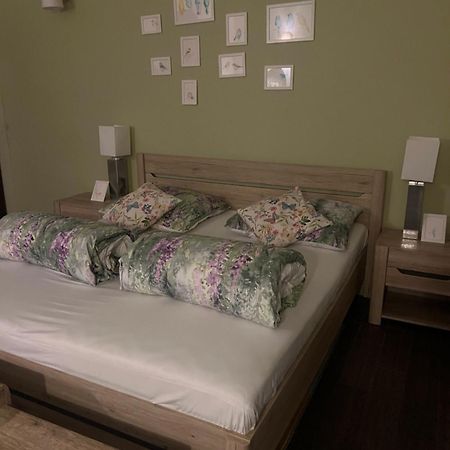 شقة Apartament Ptasie Radio شتيتشينيك المظهر الخارجي الصورة